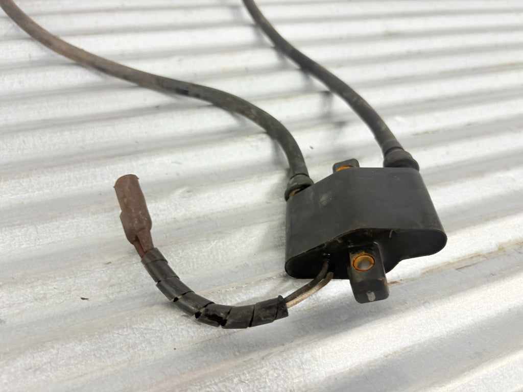 2002 Polaris Sportsman 700 Ignition Coil OEM 4010364 4010696 4010785