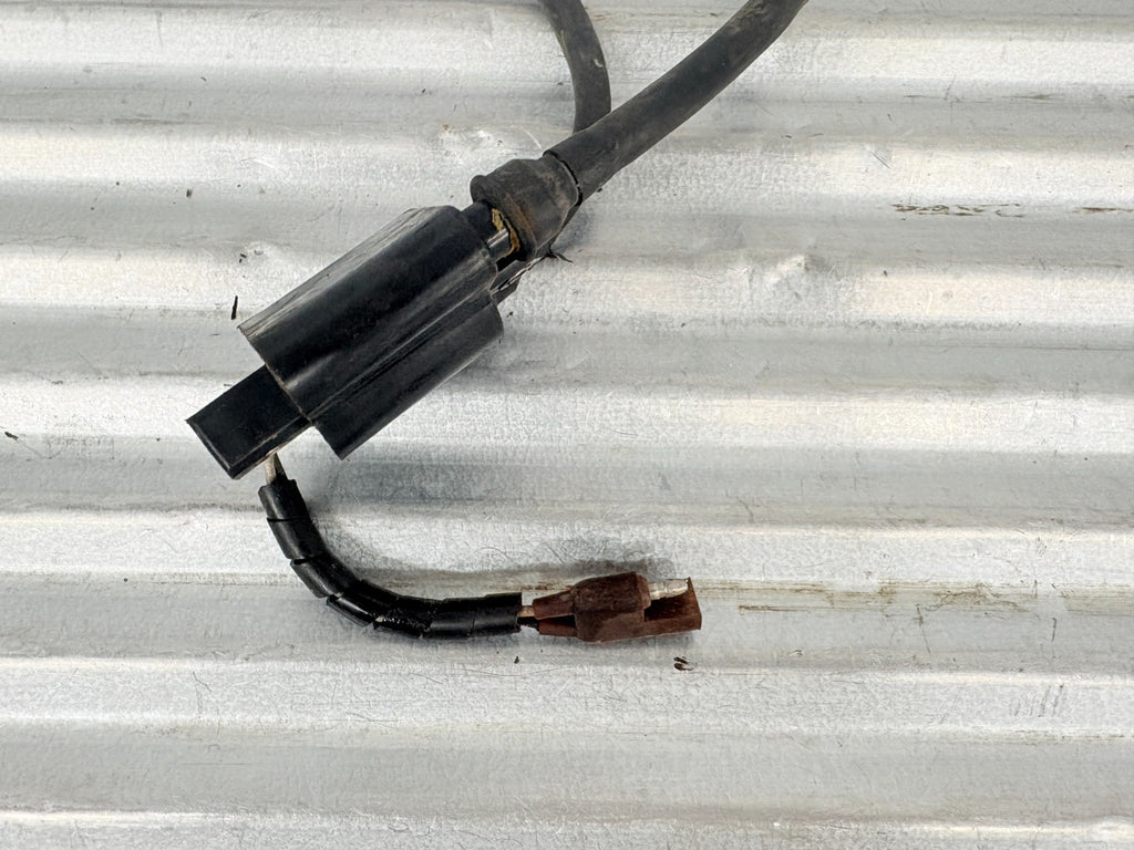 2002 Polaris Sportsman 700 Ignition Coil OEM 4010364 4010696 4010785