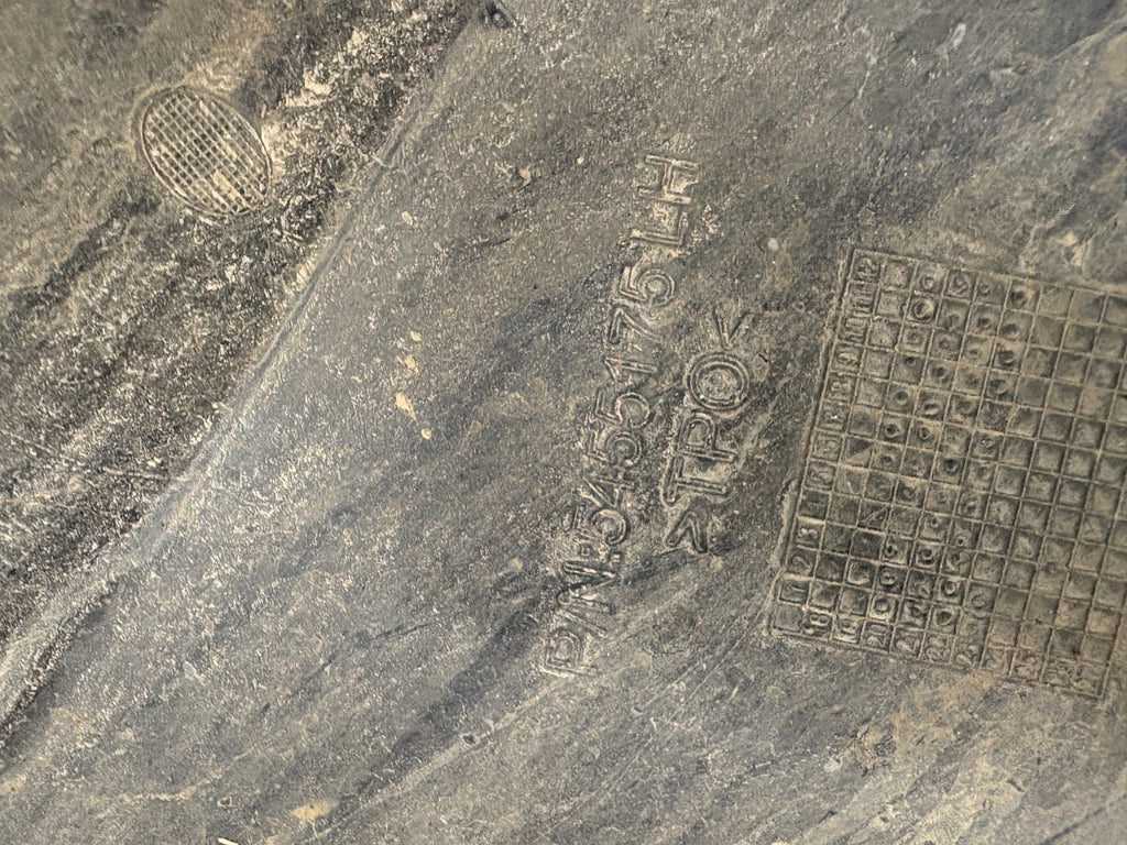 2023 Polaris RZR PRO XP Left Front Fender 5455175-070 OEM